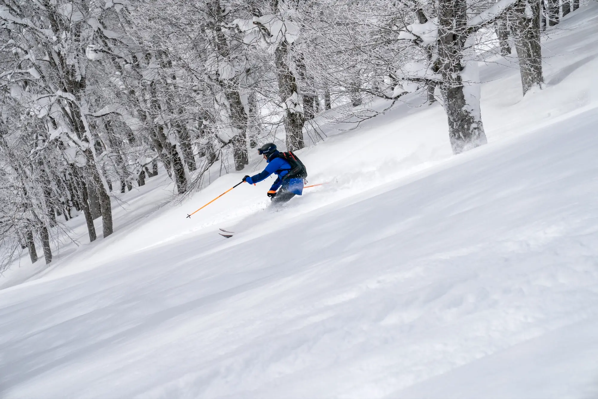 Skiër rijdt steil door een besneeuwd loofbos