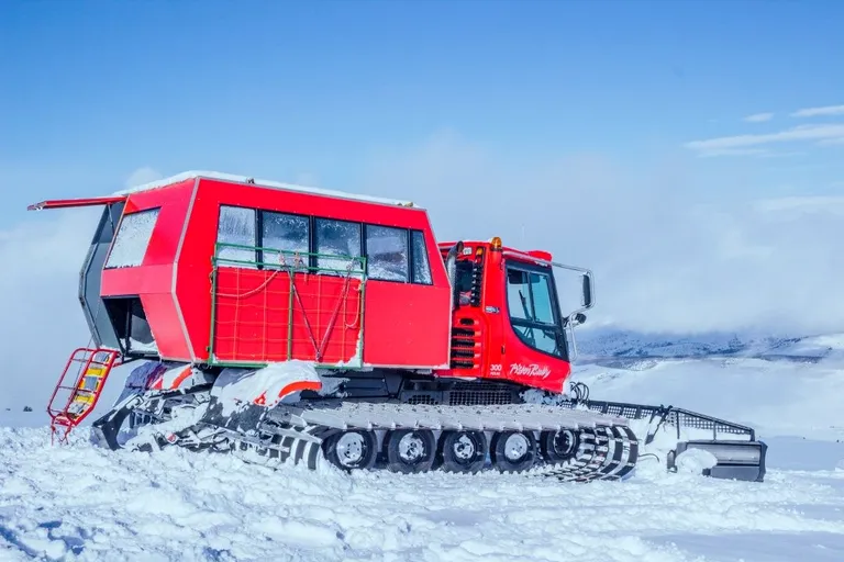 De rode cat van Jyrgalan in de sneeuw