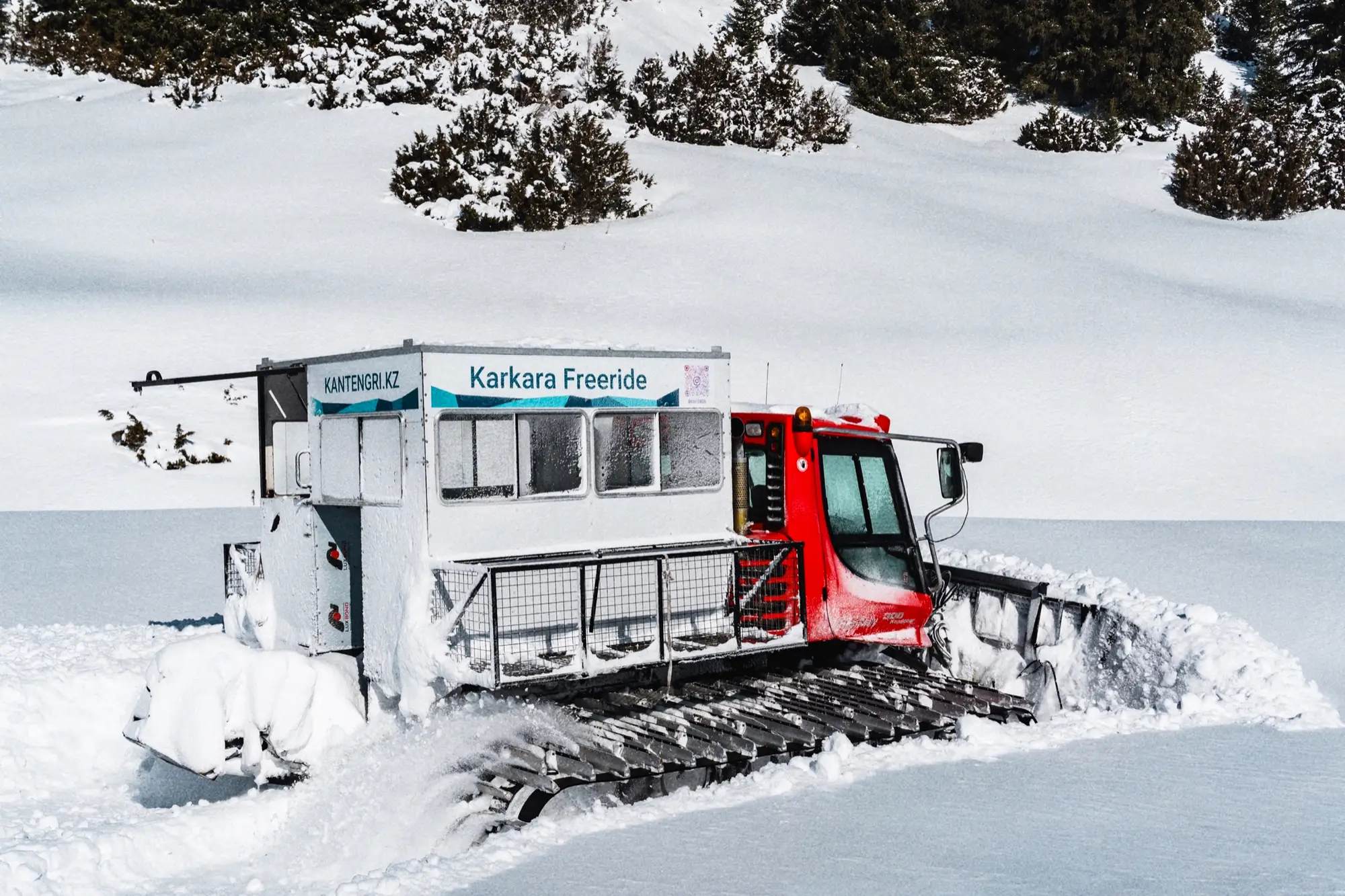 Snowcat met cabine in diepe sneeuw tussen de dennen