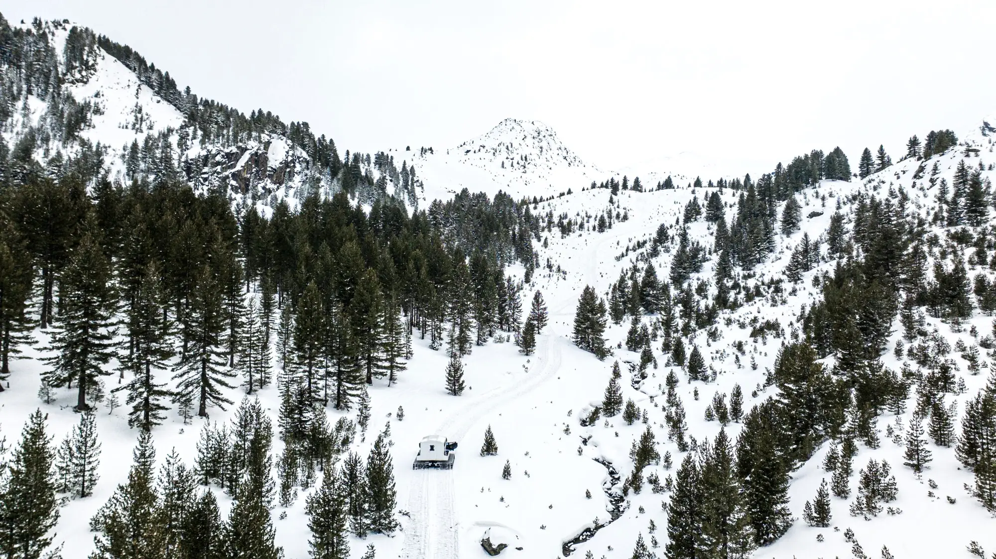 Besneeuwde vallei met dennenbos en open velden, met een hut in de verte